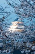 果冻传媒视频下载-探索果冻传媒视频下载，数字时代的娱乐新风尚