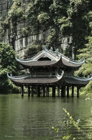 人妻五区-探寻人妻五区的微妙世界，爱与责任的交织