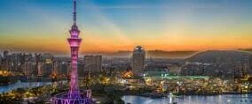 糖心app免费下载国际版-深度体验，畅享国际版糖心APP——免费用户的甜蜜福利