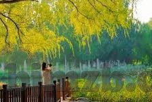 云麻豆app-云麻豆app，数字化时代下的创新购物体验