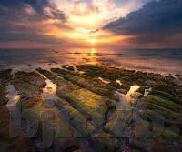 中文字幕人成乱码在线观看-中文字幕的魅力与网络观看的边界